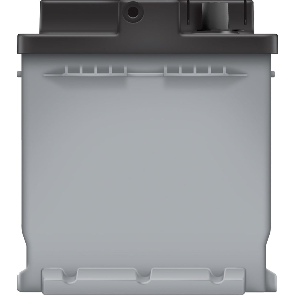 EverStart Platinum AGM Battery, Group Size H8
